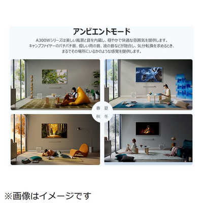 TCL 液晶テレビ アートテレビ [ 75V型 /4Kチューナー内蔵 / YouTube