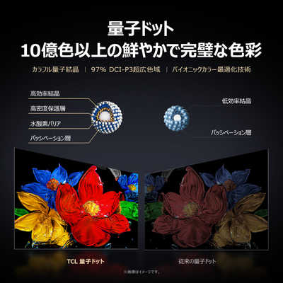 TCL 量子ドット Mini LED 液晶テレビ C8Kシリーズ [ 65V型 / 4K