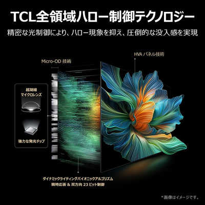 TCL 量子ドット Mini LED 液晶テレビ C6Kシリーズ [ 55V型 / 4K