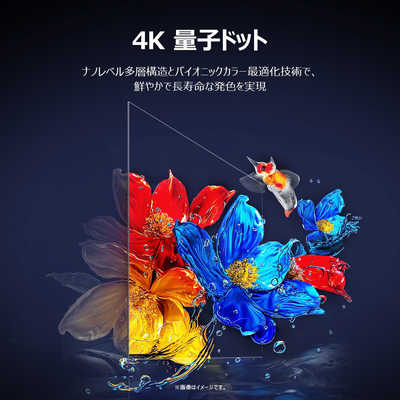 TCL 量子ドット 液晶テレビ P8Kシリーズ [ 65V型 / 4Kチューナー内蔵