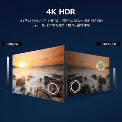 TCL 液晶テレビ P6Kシリーズ [ 65V型 / 4Kチューナー内蔵 / YouTube