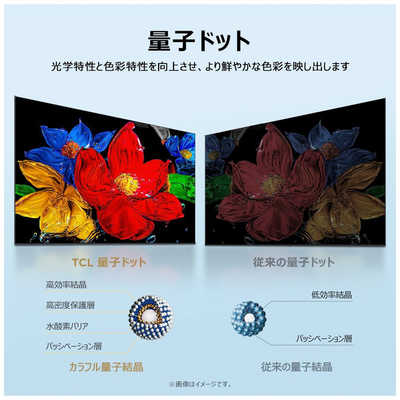 TCL 量子ドット 液晶テレビ S5Kシリーズ [ 32V型 / フルハイビジョン