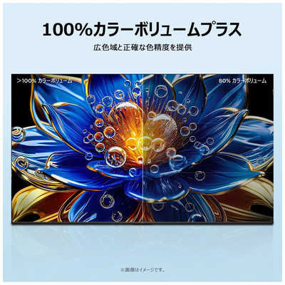 TCL 量子ドット 液晶テレビ S5Kシリーズ [ 32V型 / フルハイビジョン