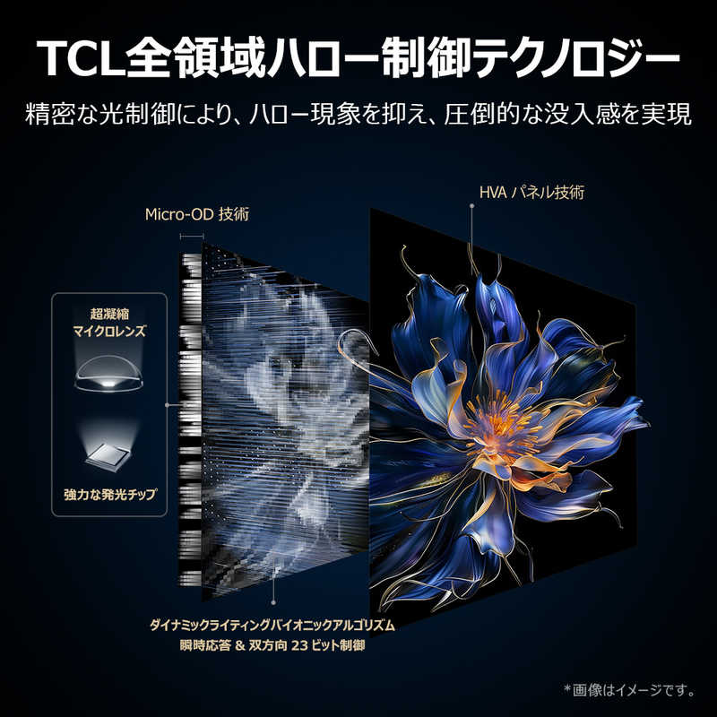 TCL TCL 量子ドット Mini LED液晶テレビ 75V型  4K対応 4Kチューナー内蔵 YouTube対応 Bluetooth対応 75C6KS 75C6KS