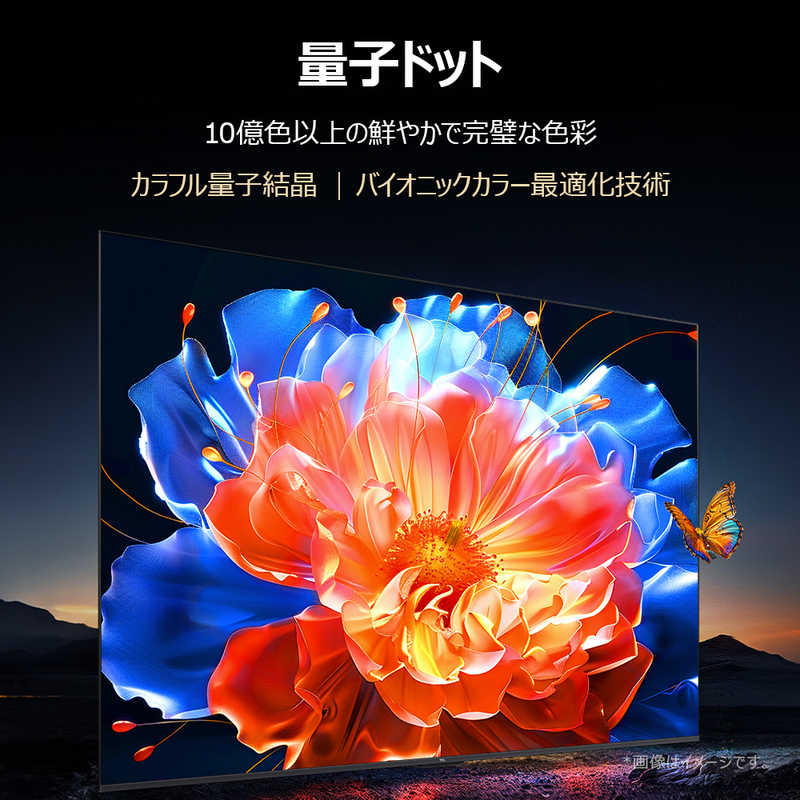 TCL TCL 量子ドット Mini LED液晶テレビ C6KS 50V型 4K対応 4Kチューナー内蔵 YouTube対応 Bluetooth対応 50C6KS 50C6KS