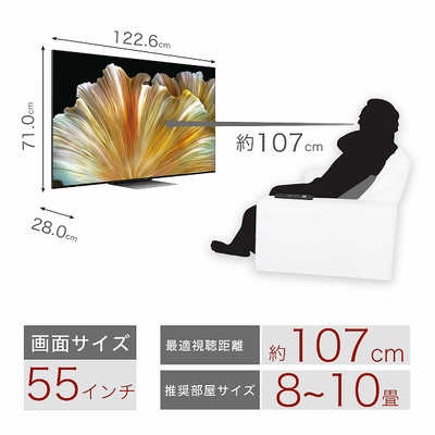 TCL Mini LED液晶テレビ [ 55V型 / 4Kチューナー内蔵 ] 55C835 の通販