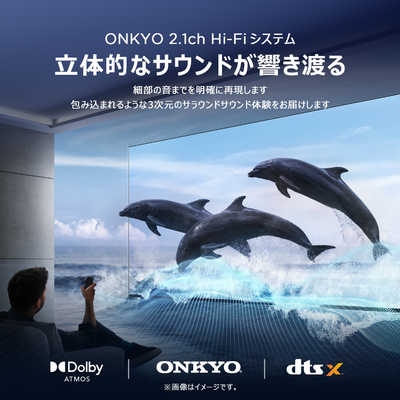 TCL Mini LED 液晶テレビ [ 50V型 / 4Kチューナー内蔵 / YouTube