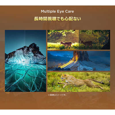 TCL 液晶テレビ [ 50V型 / Bluetooth対応 / 4K対応 / BS・CS 4K