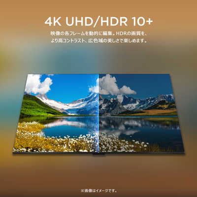 TCL 液晶テレビ [ 50V型 / Bluetooth対応 / 4K対応 / BS・CS 4K