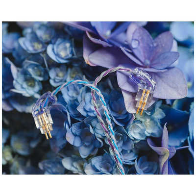 WAGNUS リケーブル 4.4mm 5極 Custom 2pin ロゴ＆イヤーコネクタ