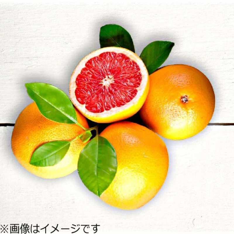 AINOHA AINOHA 電子たばこ ENERGIZE オレンジ&グレープフルーツ ｢AINOHA STIK｣ AINOHAENERGIZE AINOHAENERGIZE