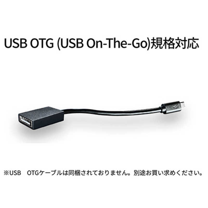 JAPANNEXT JAPANNEXT USB-C接続 PCモニター 13.3インチ タッチパネル搭載 JN-MD-i133FHDR-T JN-MD-i133FHDR-T