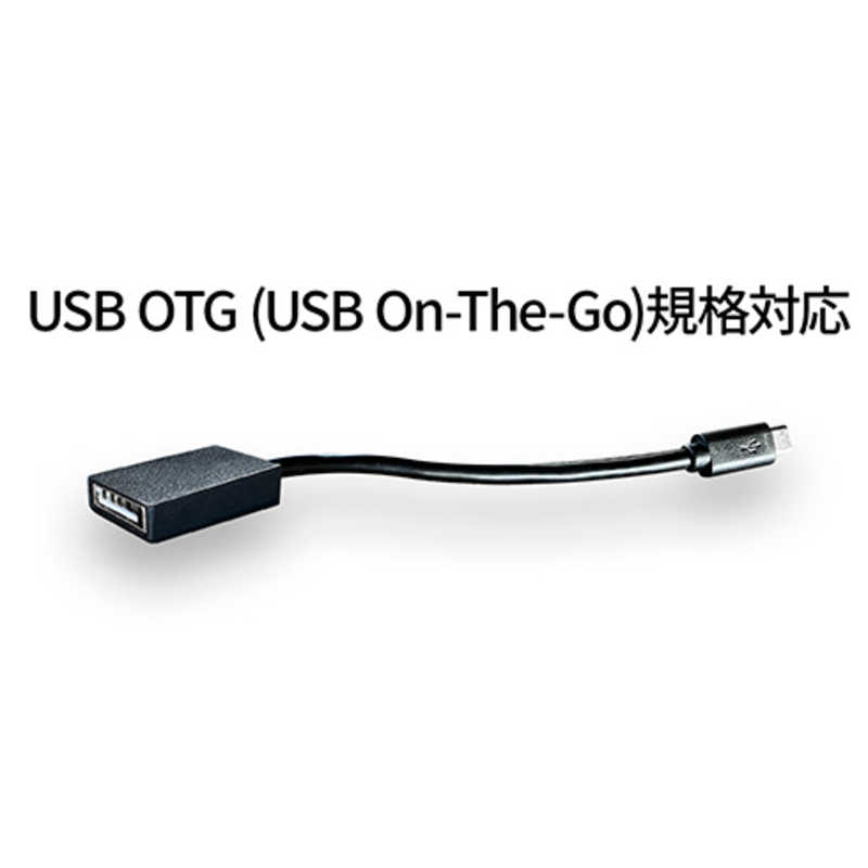 JAPANNEXT JAPANNEXT USB-C接続 PCモニター 10.5インチ IPSパネル フルHD＋(1920x1280)解像度 JN-MD-IPS105FHDPR JN-MD-IPS105FHDPR