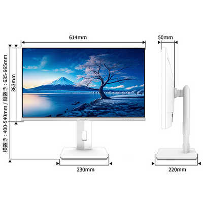 JAPANNEXT 27インチ IPSパネル搭載 4K(3840x2160)解像度 液晶