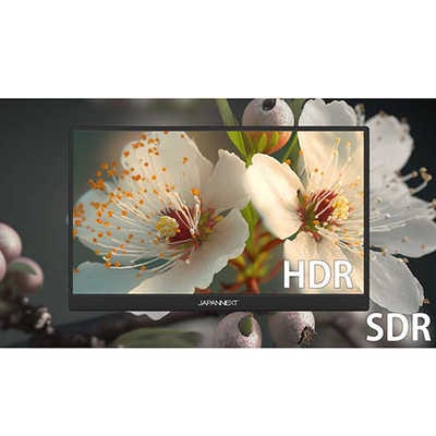 JAPANNEXT モバイルモニター USB TypeC miniHDMI［17.3型 /フルHD(1920