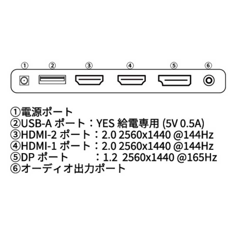 JAPANNEXT JAPANNEXT ゲーミングモニター [31.5型 /WQHD(2560×1440） /ワイド] JN-IPS3150WQHDR165 JN-IPS3150WQHDR165