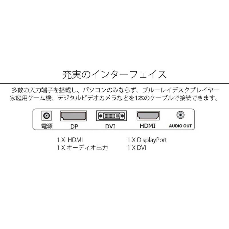 JAPANNEXT JAPANNEXT PCモニター [23.8型 /WQHD(2560×1440） /ワイド] JN-IPS244WQHD JN-IPS244WQHD