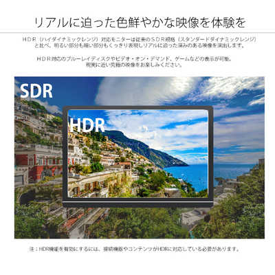 JAPANNEXT PCモニター ブラック [10.1型 /WUXGA(1920×1200） /ワイド