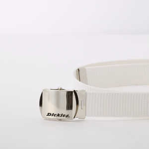 ǥå Dickies GI٥ 06.ۥ磻 DS0741I