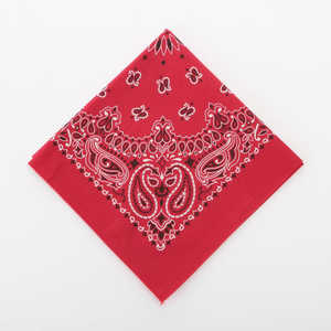 バックヤードファミリー ハバハンク HAV-A-HANK PAISLEY BANDANNA 60.レッド HAVAHANK15702300 バックヤードファミリー ハバハンク HAV-A-HANK PAISLEY BANDANNA 60.レッド HAVAHANK15702300