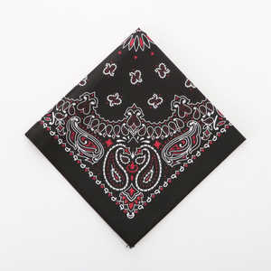 バックヤードファミリー ハバハンク HAV-A-HANK PAISLEY BANDANNA 81.ブラック&レッド HAVAHANK15702300 バックヤードファミリー ハバハンク HAV-A-HANK PAISLEY BANDANNA 81.ブラック&レッド HAVAHANK15702300