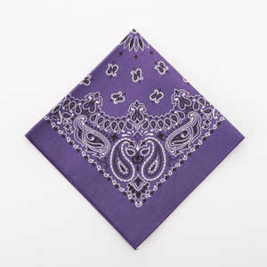 バックヤードファミリー ハバハンク HAV-A-HANK PAISLEY BANDANNA 59.パープル HAVAHANK15702300 バックヤードファミリー ハバハンク HAV-A-HANK PAISLEY BANDANNA 59.パープル HAVAHANK15702300