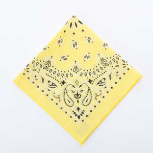 バックヤードファミリー ハバハンク HAV-A-HANK PAISLEY BANDANNA 20.イエロー HAVAHANK15702300 バックヤードファミリー ハバハンク HAV-A-HANK PAISLEY BANDANNA 20.イエロー HAVAHANK15702300