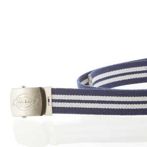 ǥå Dickies GI٥ 36.ͥӡxۥ磻 DS0741I