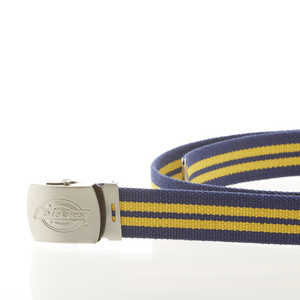 ǥå Dickies GI٥ 40.ͥӡx DS0741I