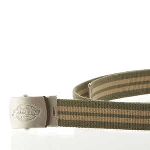 ǥå Dickies GI٥ 34.⥹x١ DS0741I
