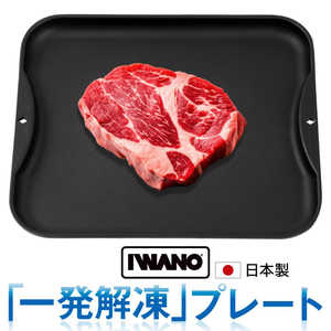 IWANO 一発解凍プレート(解凍皿) ブラック AWKSD IWANO 一発解凍プレート(解凍皿) ブラック AWKSD