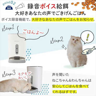 楽天市場】自動給餌器 猫 犬 自動餌やり機 猫 ペット給餌機 自動