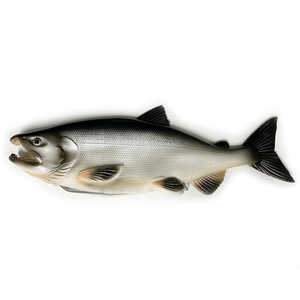 ウイングクラウン 新鮭ポーチ ギンケ サケの小物入れ 魚ポーチ WI65101