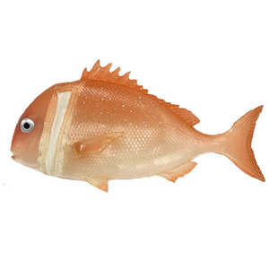 ウイングクラウン 鯛ペンケース アカダイ 赤鯛 真鯛 クリアタイプ ミニポーチ 魚ポーチ WI65123