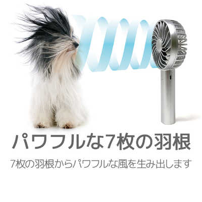 西武ファンです！さん　専用 IRIVER 埼玉西武ライオンズ ハンディファン【STORM MONSTER S