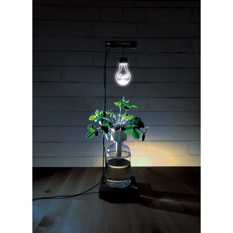 はせがわさとう Luche植物栽培用ledスタンドライト ルｰチェ の通販 カテゴリ 洗濯機 生活家電 はせがわさとう ルーチェ 家電通販のコジマネット 全品代引き手数料無料