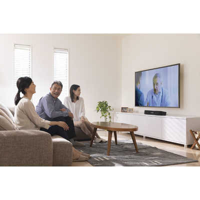 ミライスピーカー （店舗のみの販売） テレビ用スピーカー SF-MIRAIS6