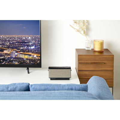 ミライスピーカー Carry by MIRAI SPEAKER (キャリー・バイ・ミライ