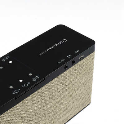 ミライスピーカー Carry by MIRAI SPEAKER (キャリー・バイ・ミライ