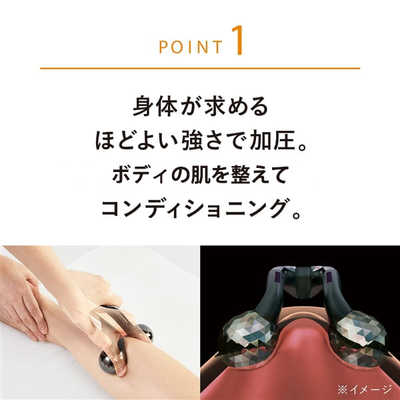 MTG ボディフェイスローラー ｢ReFa ACTIVE WF｣ RF-AT2228B-N ブラック