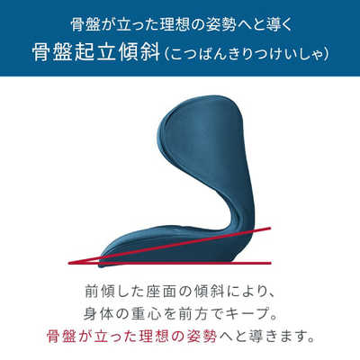 MTG 姿勢サポートシート Style SMART スタイルスマート ネイビー