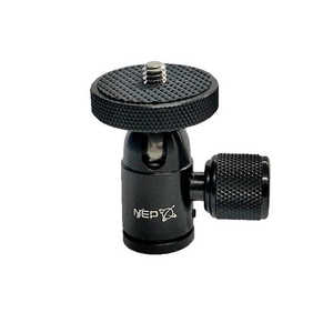 NEP {[wbĥ(ꕔ1/4X) BALLHEADN2A