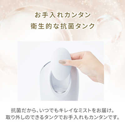 ウィナーズ フェイシャル クレンジング ナノスチーマー FESTINO