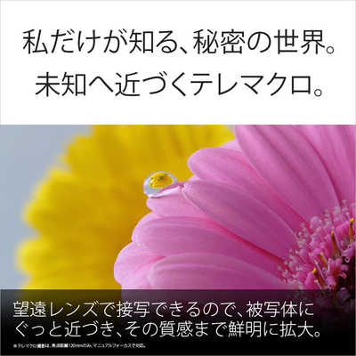 ソニー SONY (SIMフリー)Xperia 1 VII 12GB＋256GB Xperia スレート