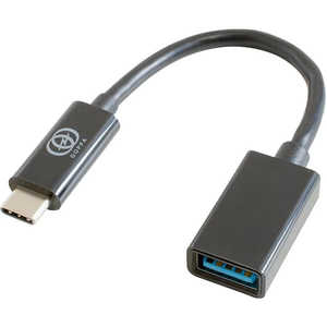 GOPPA USB3.1 Gen.1 Type-C to A変換ケーブル ［Type-Aメス /Type-Cオス］ ブラック GPCPARCHB