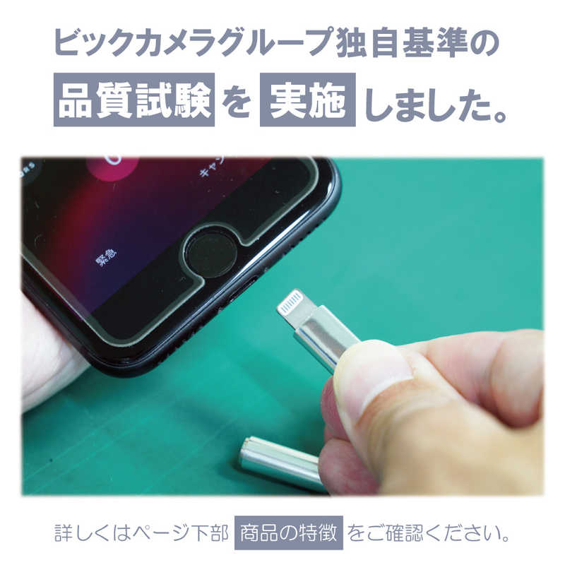 HASHTAG HASHTAG イヤホン端子 変換アダプター 3.5mmジャック - Lightningケーブル（12cm）レッド HT-AAOLH1RD HT-AAOLH1RD