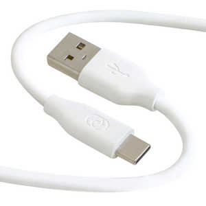 GOPPA ꥳѤ餫֥ USB-AUSB-Type-C 1m ۥ磻 GP-ACU2S100CM/W