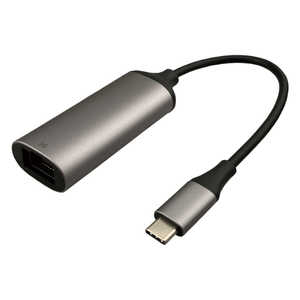 GOPPA USB10Gbps Type-C接続 5GbE LANアダプター ［Type-Cオス /LAN］ シルバー GP-CR455GH/S