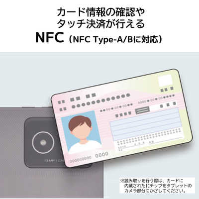 た*け様 NEC LAVIE Tab T11 PC-T1175JAS ルナグレー NEC LAVIE Tab T11 T1175/JAS PC-T1175JAS [ルナグレー] 価格比較