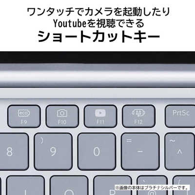 NEC ノートパソコン LAVIE SOL プラチナシルバー [13.3型